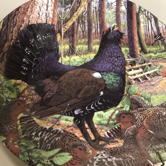 Royal crafton made innEnglamd, fine china. Certificate of authority set of 18 pl - Picture 3 of 16